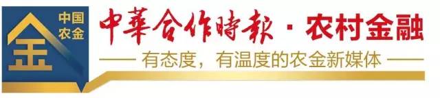 金农易贷