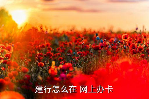 建行怎么在 网上办卡