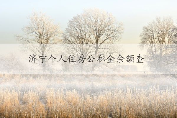 济宁个人住房公积金余额查询入口 济宁个人住房公积金余额查询