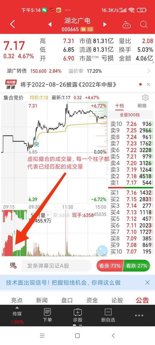 集合竞价上下红绿量柱图解(通过集合竞价我们能看懂什么)(图2)