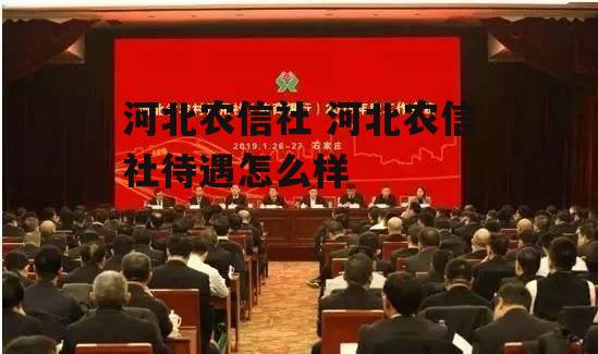 河北农信社 河北农信社待遇怎么样