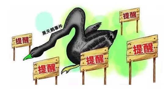 黑天鹅是什么意思