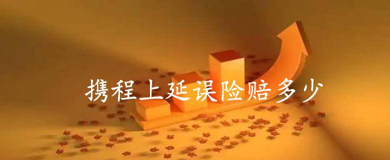携程上延误险赔多少
