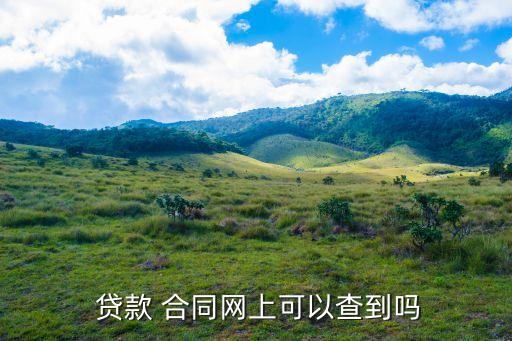 贷款 合同网上可以查到吗