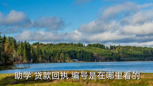  助学 贷款回执 编号是在哪里看的