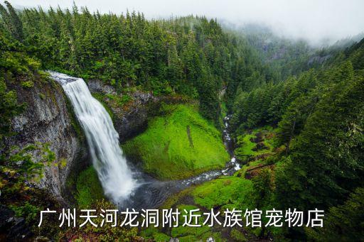 广州天河龙洞附近水族馆宠物店