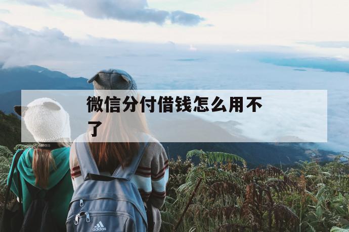 微信分付借钱怎么用不了 第1张