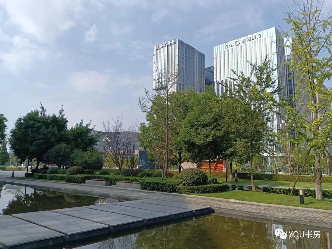 对冲是什么意思