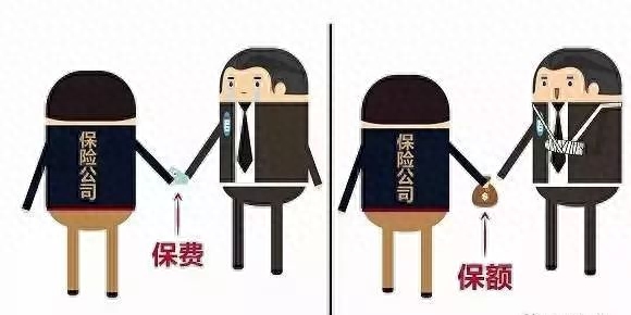 趸交与趸缴的区别