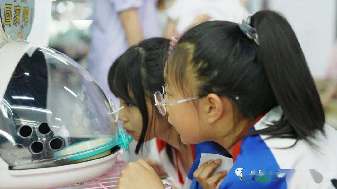 动保是什么意思