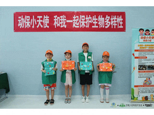 动保是什么意思