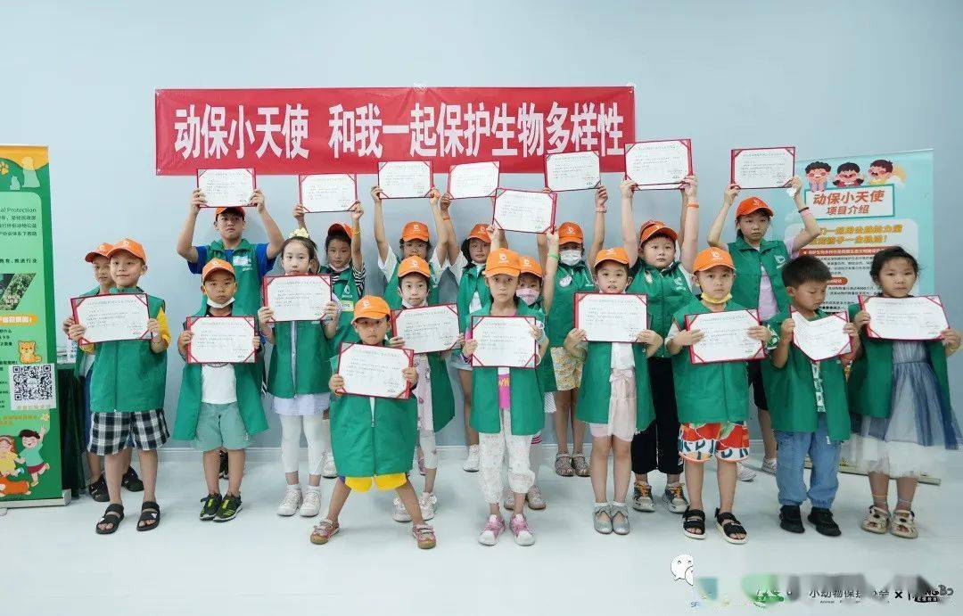 动保是什么意思