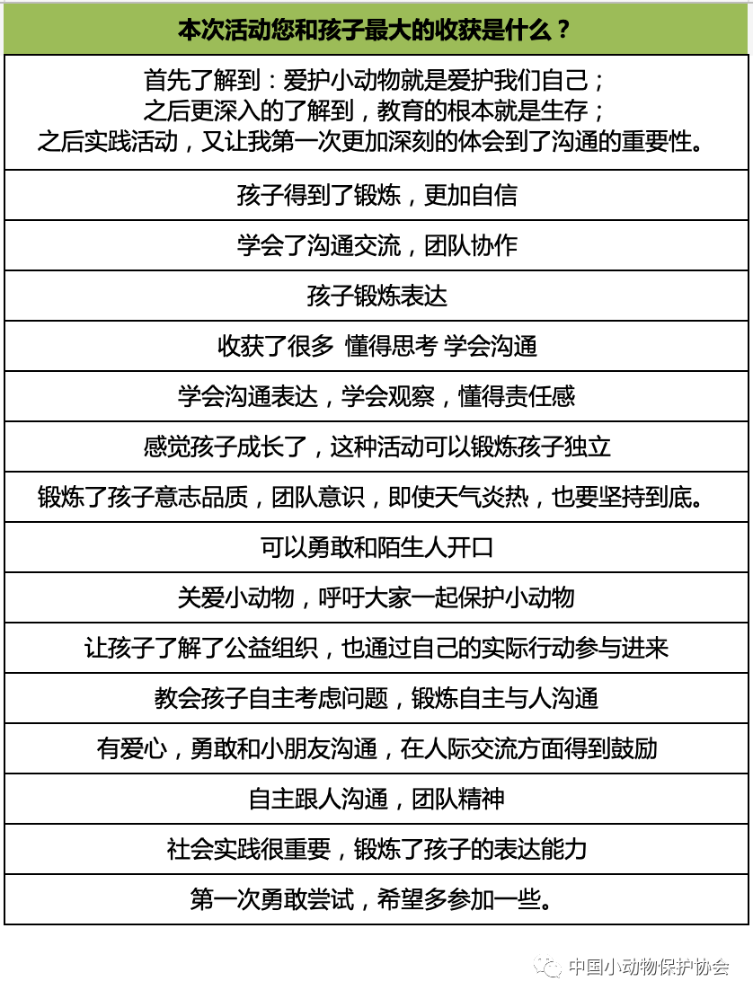 动保是什么意思