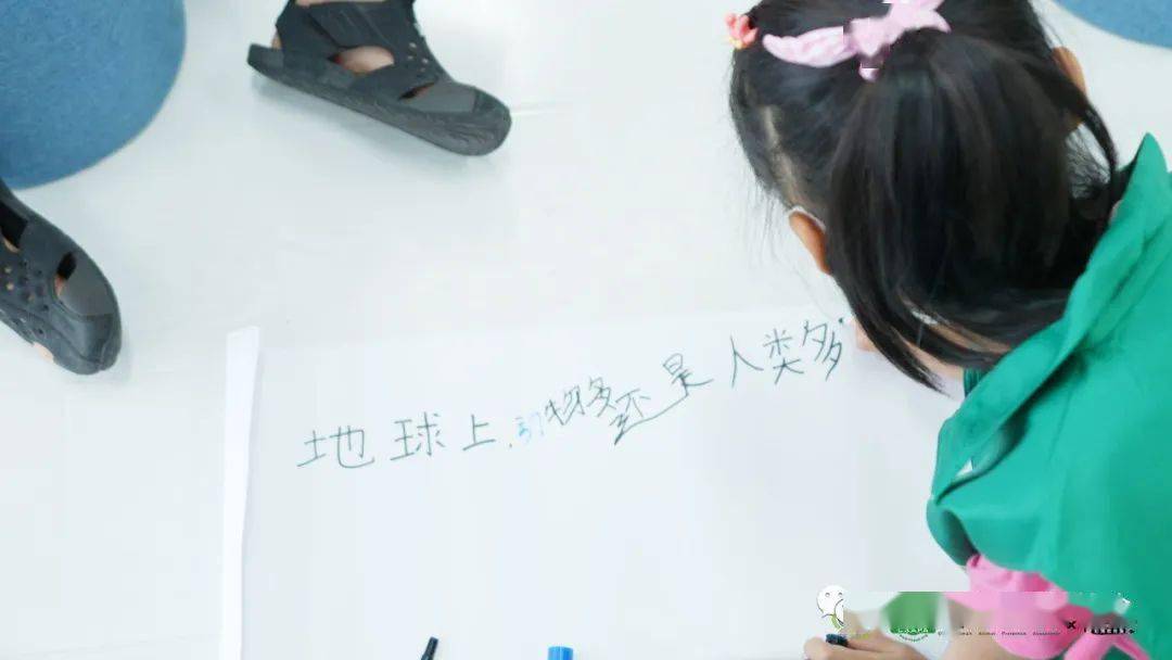 动保是什么意思