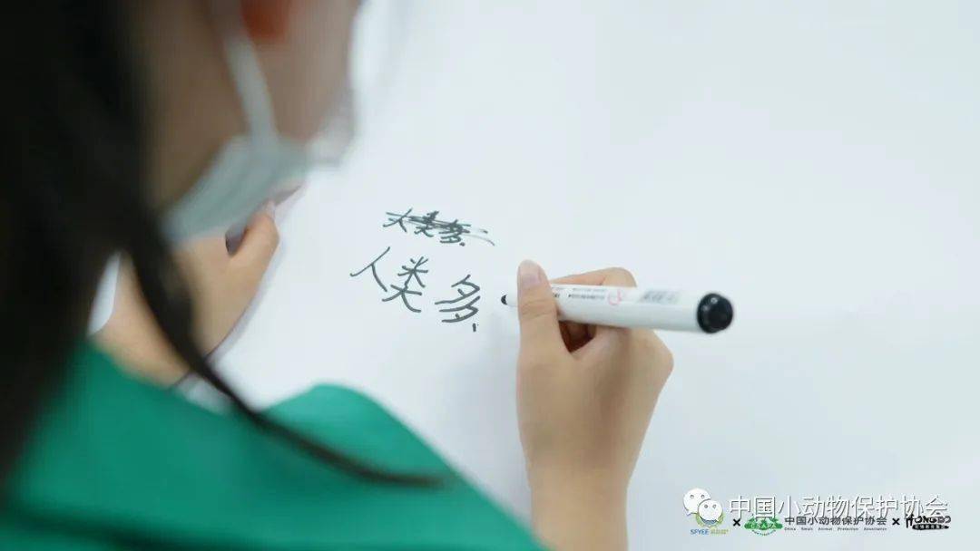 动保是什么意思