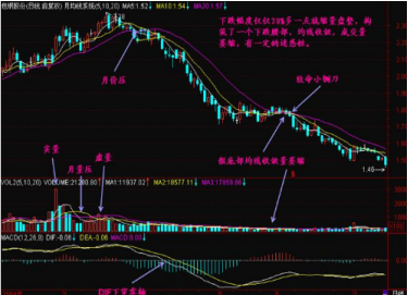 跌停是什么意思啊