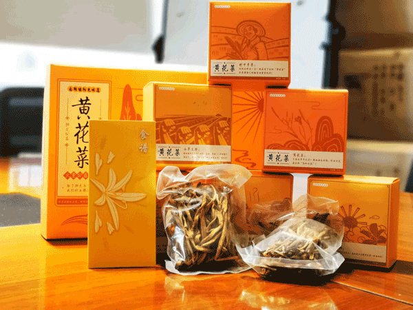 大童保险服务