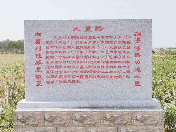 大童保险服务