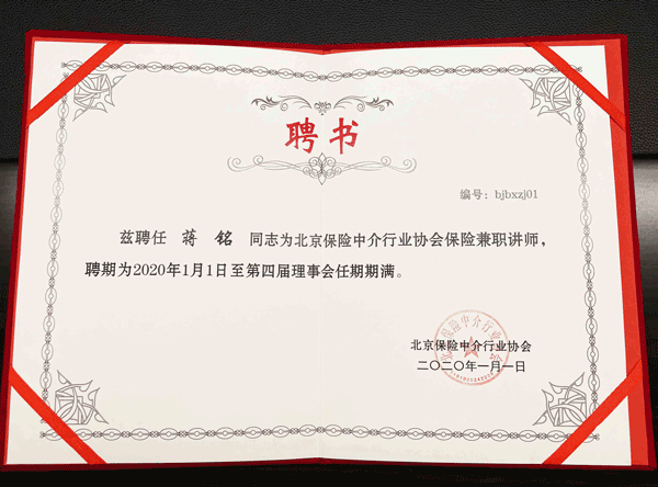 大童保险服务