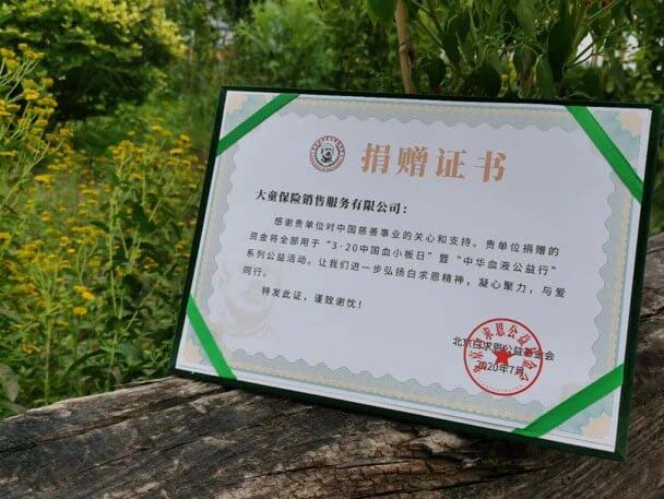 大童保险服务