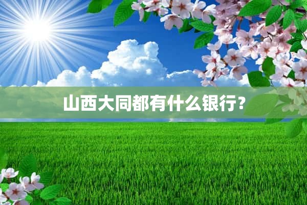 山西大同都有什么银行？