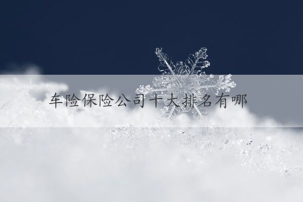 车险保险公司十大排名有哪些 十大保险公司车险