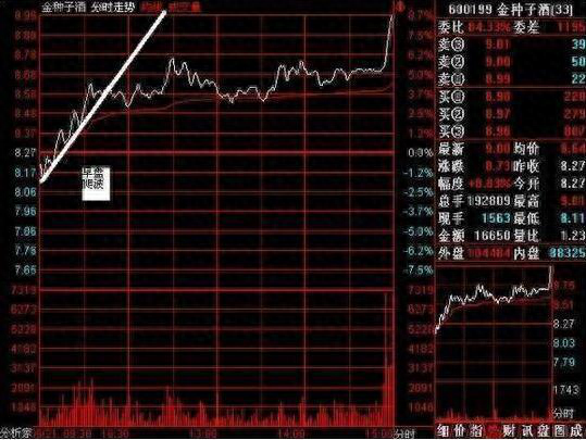 仓位是什么意思