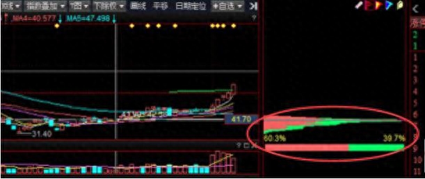 仓位是什么意思