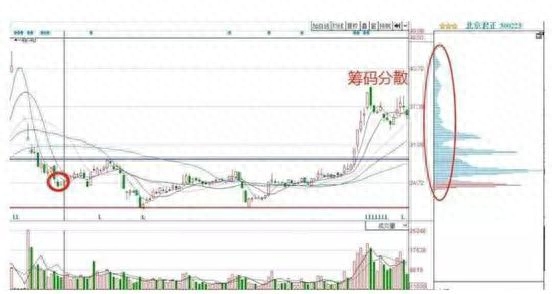 仓位是什么意思