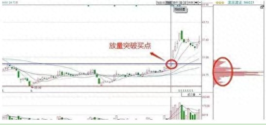 仓位是什么意思