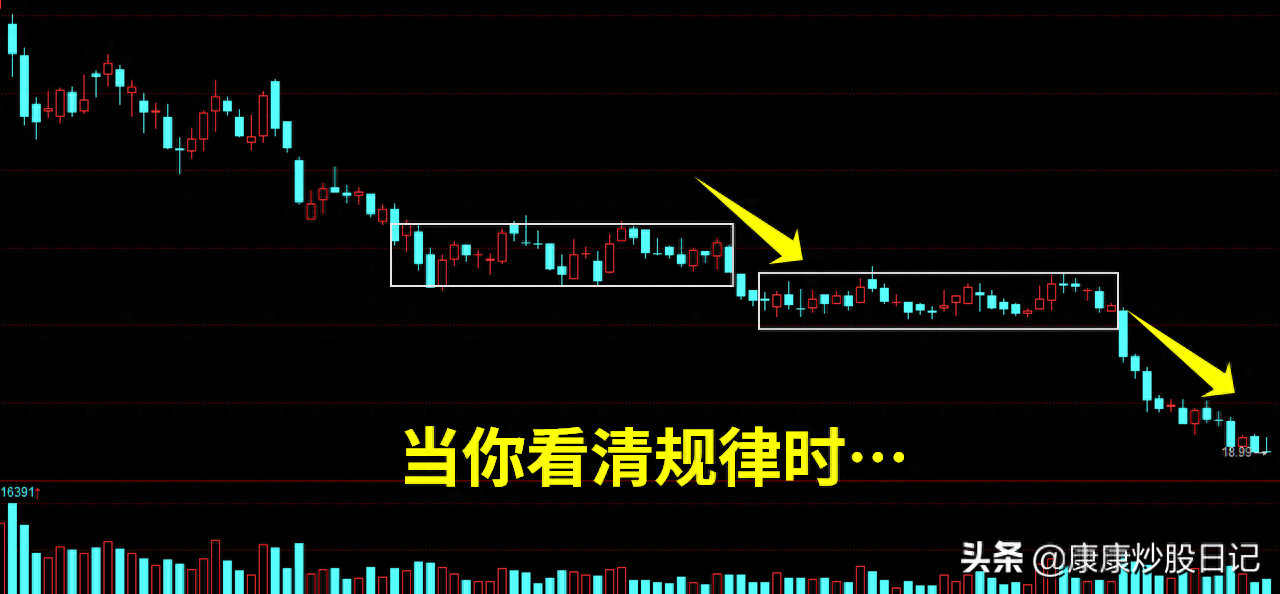 仓位是什么意思