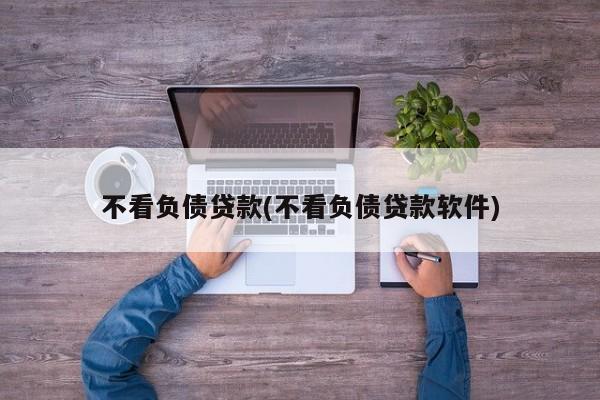 不看负债贷款(不看负债贷款软件)  第1张