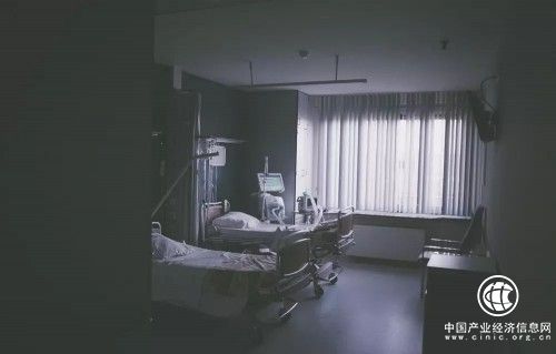 保险师