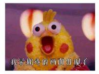 百年人寿保险公司