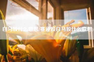 白马股什么意思(赛道股白马股什么意思)