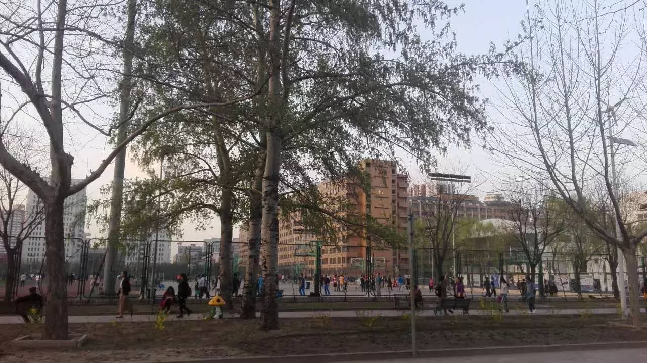 e卡是什么
