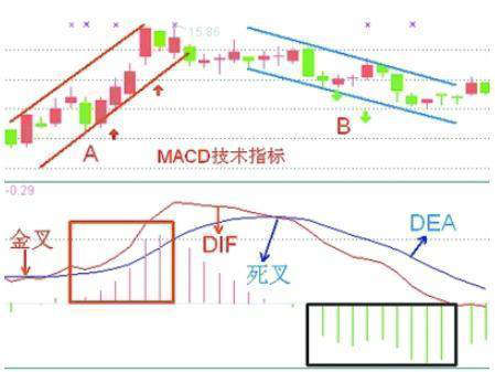 dif是什么意思