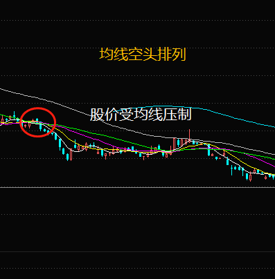 boll什么意思