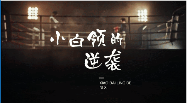 51人品贷