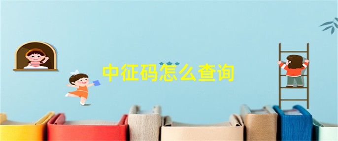 中征码怎么查询