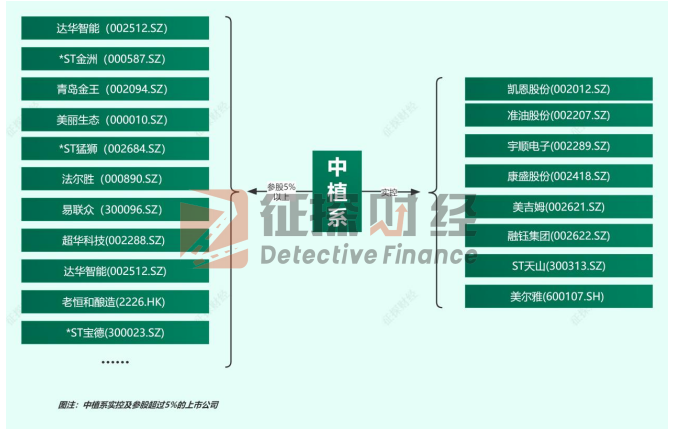 中植系是什么