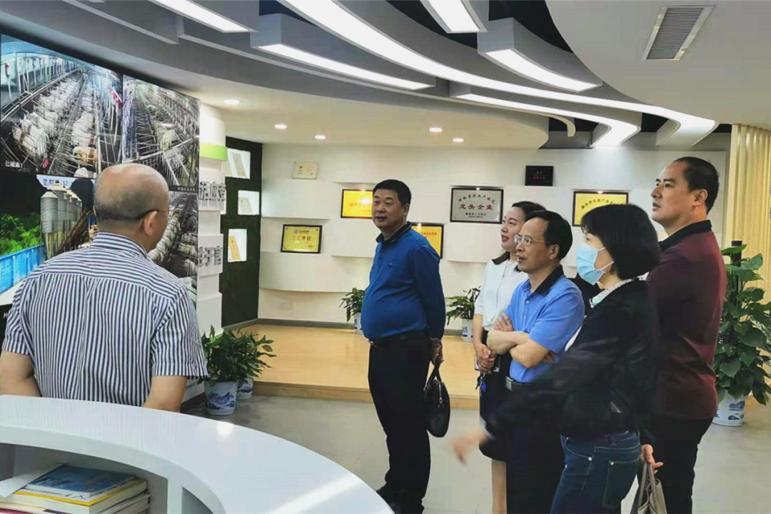 建设银行汽车抵押贷款
