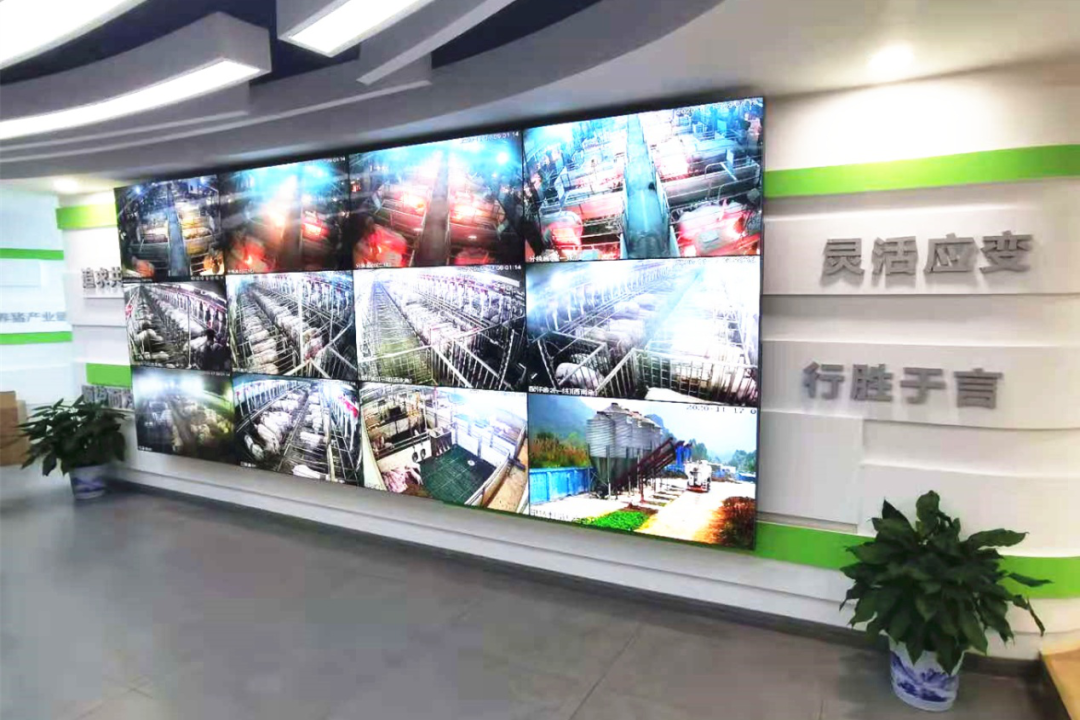 建设银行汽车抵押贷款