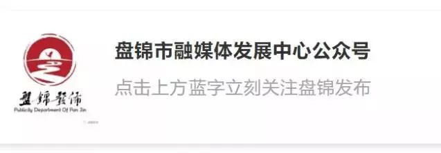 职业年金是什么