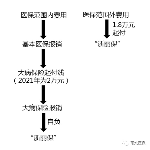 浙丽保