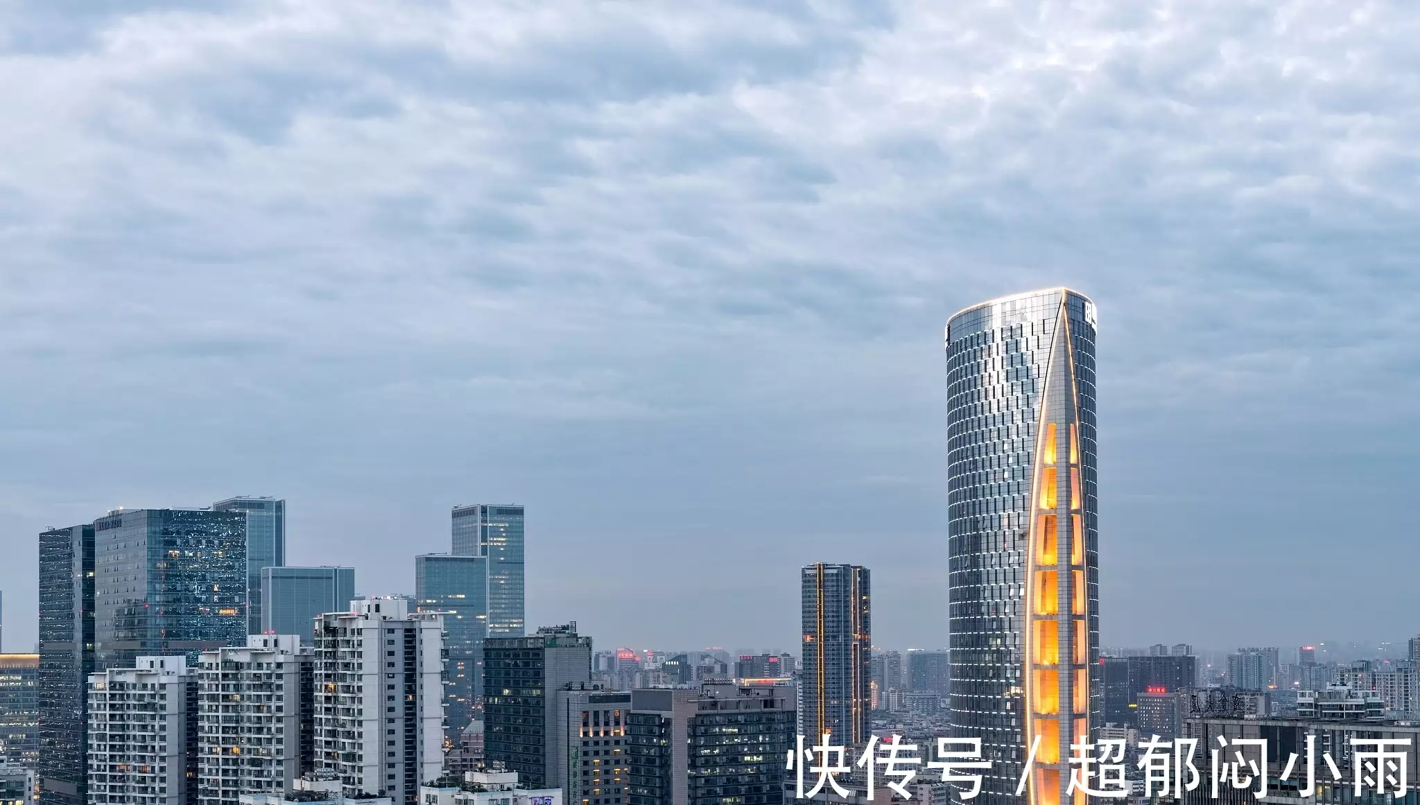 臻爱一生