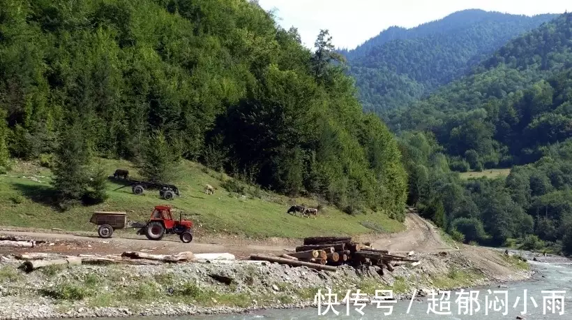 臻爱一生