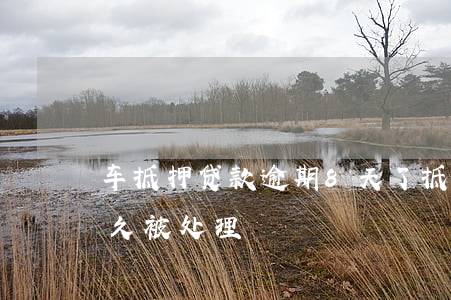 车抵押贷款逾期8天了(抵押车辆一般逾期多久被处理)