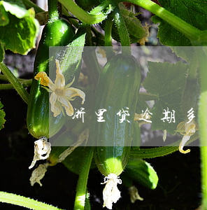 浙里贷逾期多久会被起诉(浙里贷逾期宽限期)