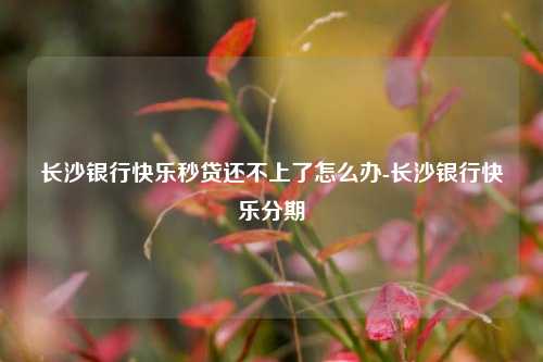 长沙银行快乐秒贷还不上了怎么办-长沙银行快乐分期